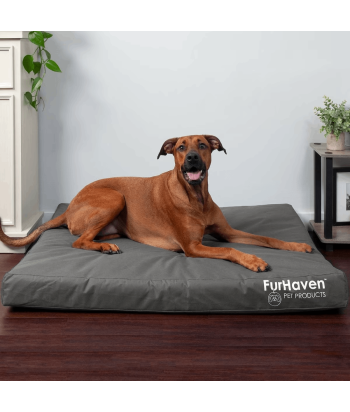 Outdoor Dog & Cat Bed with Removable Cover